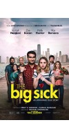The Big Sick (2017 - English)